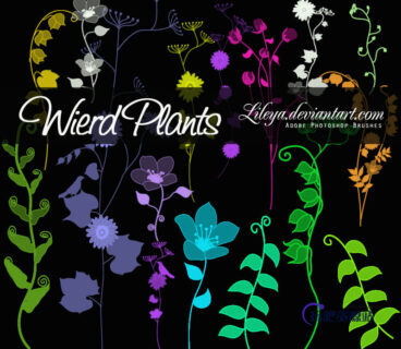 漂亮的手绘植物野草、野花图案PS笔刷素材下载-玩吧资源站