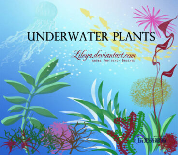 简单的海底生物、海草、珊瑚、鱼群图案PS笔刷素材下载-玩吧资源站