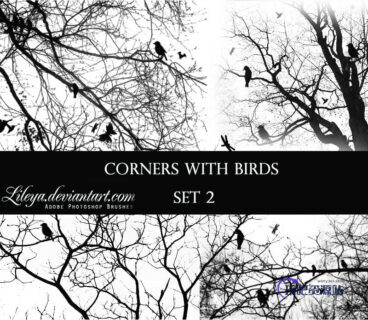 树枝上的小鸟背景图案PS笔刷素材-玩吧资源站