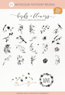 21种中国传统水墨山水画元素装饰Photoshop笔刷素材下载-玩吧资源站