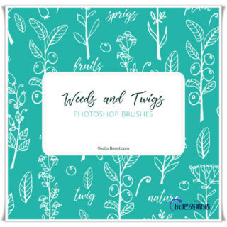 漂亮的植物花纹图案、小清新手绘印花Photoshop笔刷素材下载-玩吧资源站