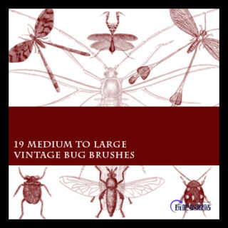 蚊子、蜻蜓、螳螂、臭虫、苍蝇等昆虫标本图案PS笔刷素材下载-玩吧资源站