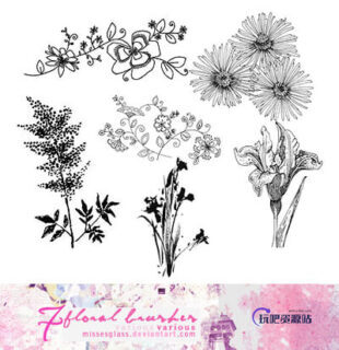 漂亮的手绘植物鲜花图案PS笔刷素材下载-玩吧资源站