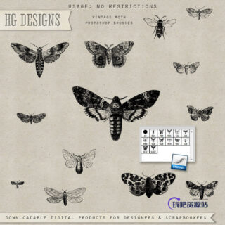 飞蛾、蝴蝶版刻图案效果PS笔刷素材下载-玩吧资源站