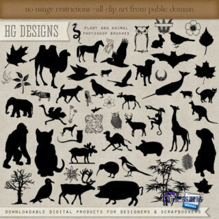 骆驼、猫头鹰、黑猩猩、兔子、蝙蝠、抹香鲸、猫咪、鸵鸟、大象、麋鹿、长颈鹿、野猪、小狗、袋鼠等PS笔刷剪影素材-玩吧资源站