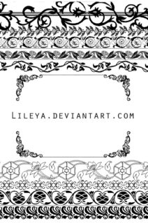 漂亮的欧式花纹边框图案PS笔刷素材下载-玩吧资源站