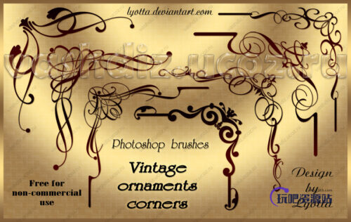 漂亮的手绘植物印花图案花纹PS线条印花笔刷-玩吧资源站