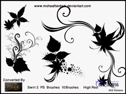 漂亮的艺术系植物叶子花纹图案PS笔刷素材下载-玩吧资源站