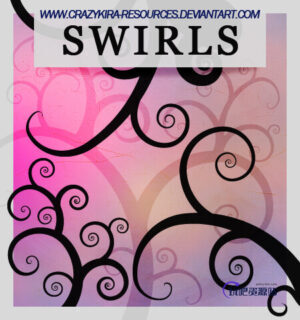 漂亮的旋涡式花纹图案PS笔刷素材下载-玩吧资源站