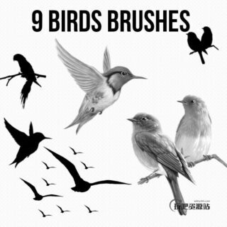 9种小鸟剪影效果PS笔刷素材下载-玩吧资源站