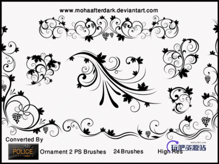 优美的贵族植物花纹图案PS笔刷素材下载-玩吧资源站