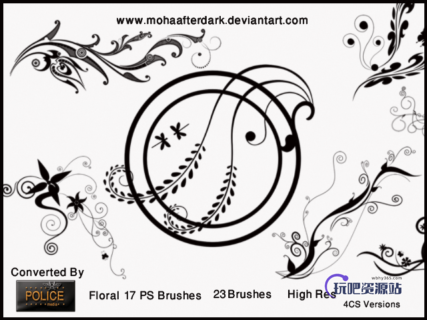 优美的贵族花纹艺术图案PS笔刷下载素材-玩吧资源站