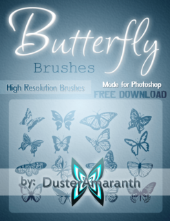 漂亮的蝴蝶剪影图案、蝴蝶花纹印记PS笔刷素材下载-玩吧资源站