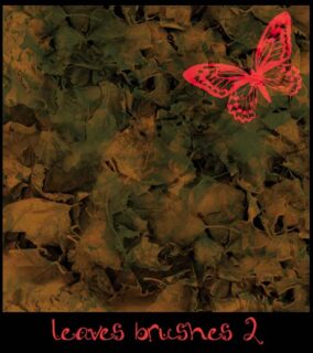 落叶堆、枯树叶堆纹理Photoshop背景笔刷素材下载-玩吧资源站