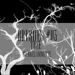 大树、枯树鸟剪影图形Photoshop笔刷素材下载-玩吧资源站