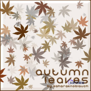 漂亮的枫叶图案PS笔刷素材下载-玩吧资源站