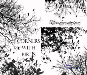 树枝、树叉与小鸟、书上的小鸟剪影图形PS笔刷素材-玩吧资源站