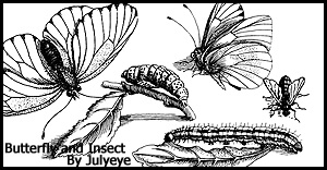 手绘昆虫、蝴蝶、毛毛虫、苍蝇图形PS笔刷素材下载
