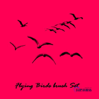 飞鸟剪影图形Photoshop笔刷素材-玩吧资源站
