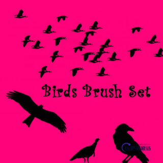乌鸦、候鸟、大雁南飞剪影图形Photoshop飞鸟笔刷-玩吧资源站