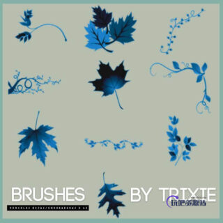 枫叶、梧桐叶等植物叶子藤蔓枝叶图案PS笔刷素材-玩吧资源站