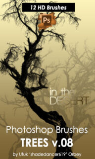 沙漠当中的大树、树木PS笔刷素材下载-玩吧资源站