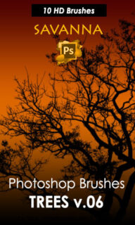 10种大草原上的树木剪影图形Ps大树剪影笔刷素材-玩吧资源站