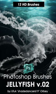 高清水母造型图案PS海洋生物笔刷-玩吧资源站