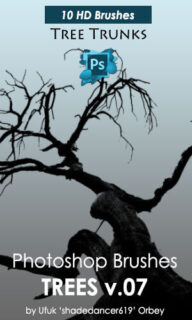 枯树树干、树枝造型PS笔刷素材-玩吧资源站