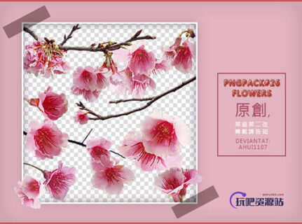 漂亮的梅花花朵、鲜花图案Photoshop鲜花笔刷-玩吧资源站