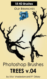 老树枝、树干图形Photoshop大树树木枝干笔刷素材-玩吧资源站