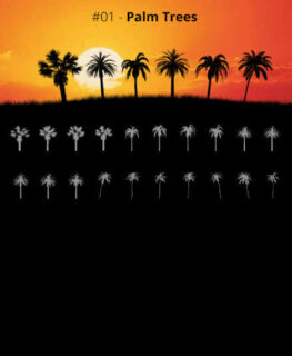 海边海岛上棕榈树、椰子树、大树剪影图案Photoshop笔刷素材下载-玩吧资源站