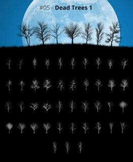 43种光秃秃的大树剪影造型Photoshop干枯的森林树木笔刷-玩吧资源站