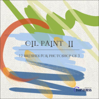 12种油漆画笔Photoshop笔触笔刷-玩吧资源站