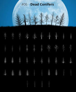 44种树木、大树剪影、大树X光射线造影Photoshop笔刷素材-玩吧资源站