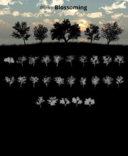 25种大树、树木剪影、阴影造型Photoshop树木笔刷-玩吧资源站