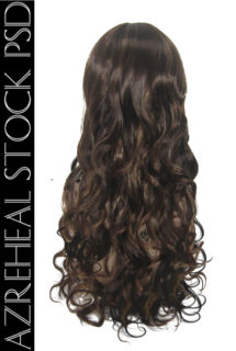 女性长发头套效果Photoshop后背式假发笔刷(PSD素材格式)已扣图!-玩吧资源站