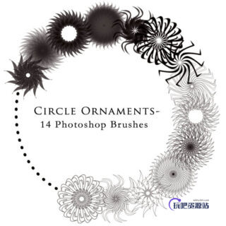 14种有趣的旋转对称式花纹图案Photoshop笔刷素材下载-玩吧资源站