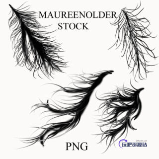 自由组合式毛发PS笔刷素材（PNG图片格式）已抠像！-玩吧资源站