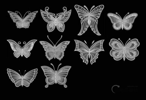 镌刻的漂亮蝴蝶印花图案Photoshop蝴蝶纹饰笔刷-玩吧资源站
