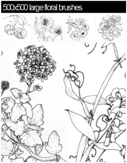 漂亮的手绘花朵、鲜花图案PS笔刷素材下载（PNG图片格式素材）-玩吧资源站