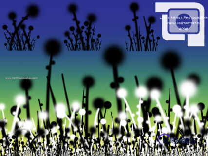 荧光草花纹图案Photoshop笔刷素材-玩吧资源站