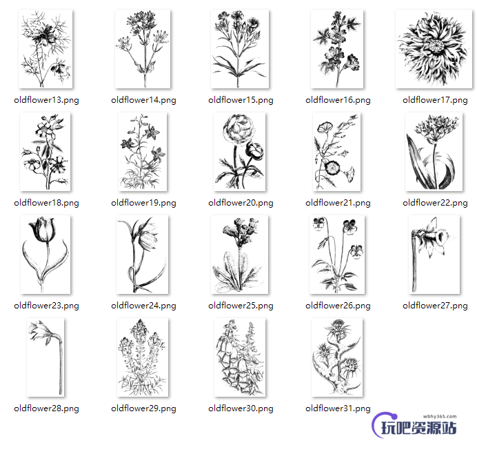 漂亮的植物花朵图案Photoshop笔刷素材