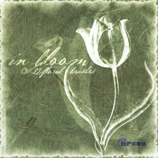 漂亮的植物花朵图案Photoshop笔刷素材-玩吧资源站