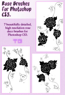 7种漂亮的玫瑰花印记、玫瑰花花纹图案Photoshop笔刷素材-玩吧资源站