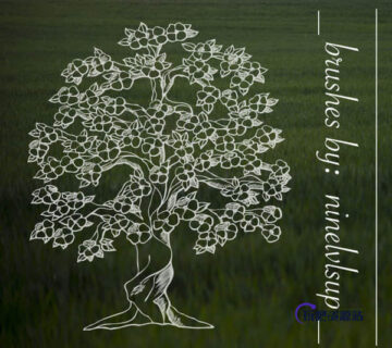 手绘开花的树、大树图形Photoshop笔刷素材免费下载-玩吧资源站