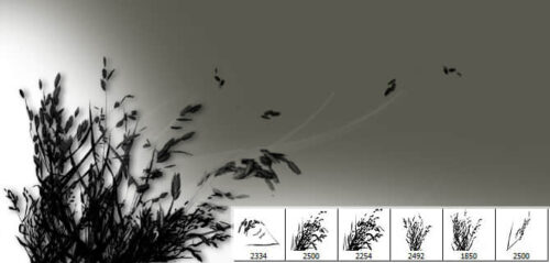 6个高清野草、草丛剪影PS笔刷素材-玩吧资源站