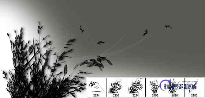 6个高清野草、草丛剪影PS笔刷素材