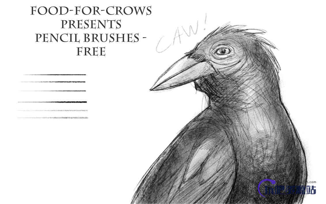 素描类铅笔笔触Photoshop铅笔笔刷素材下载