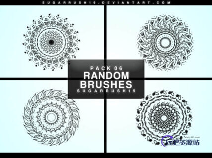 4种旋转对称花纹图案PS笔刷素材-玩吧资源站